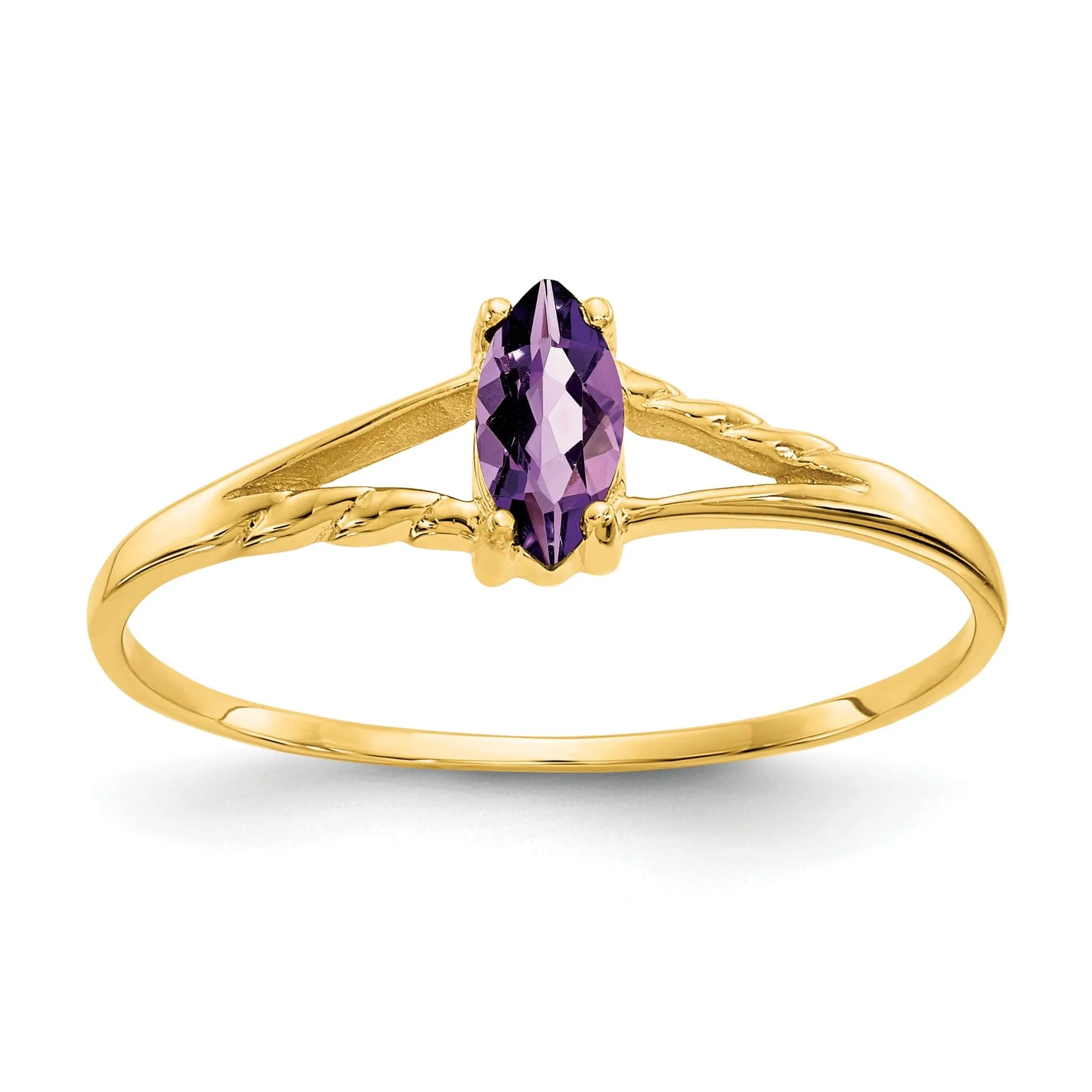 14k Yellow Gold Polished Amethyst Birthstone Ring