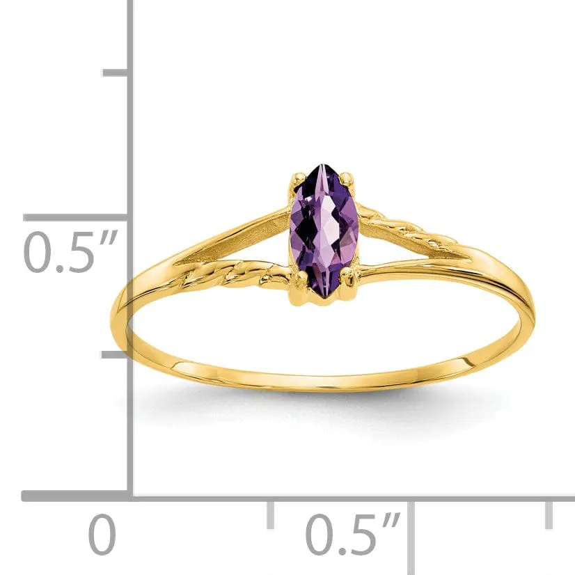 14k Yellow Gold Polished Amethyst Birthstone Ring