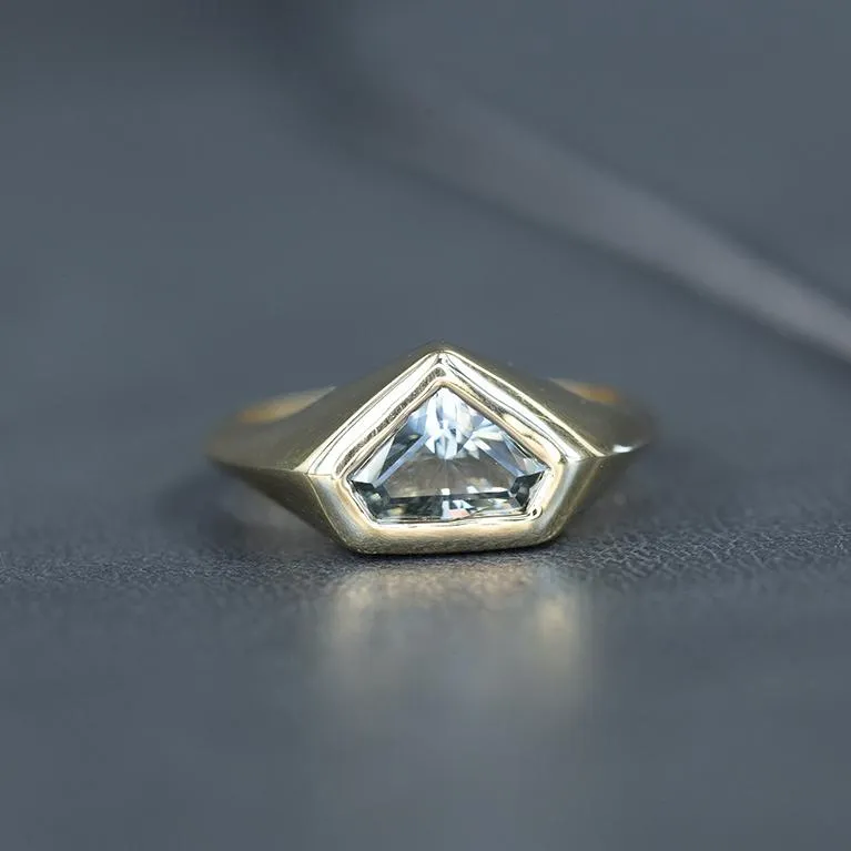 1.88ct Shield Montana Sapphire Signet Ring in 14k Yellow Gold