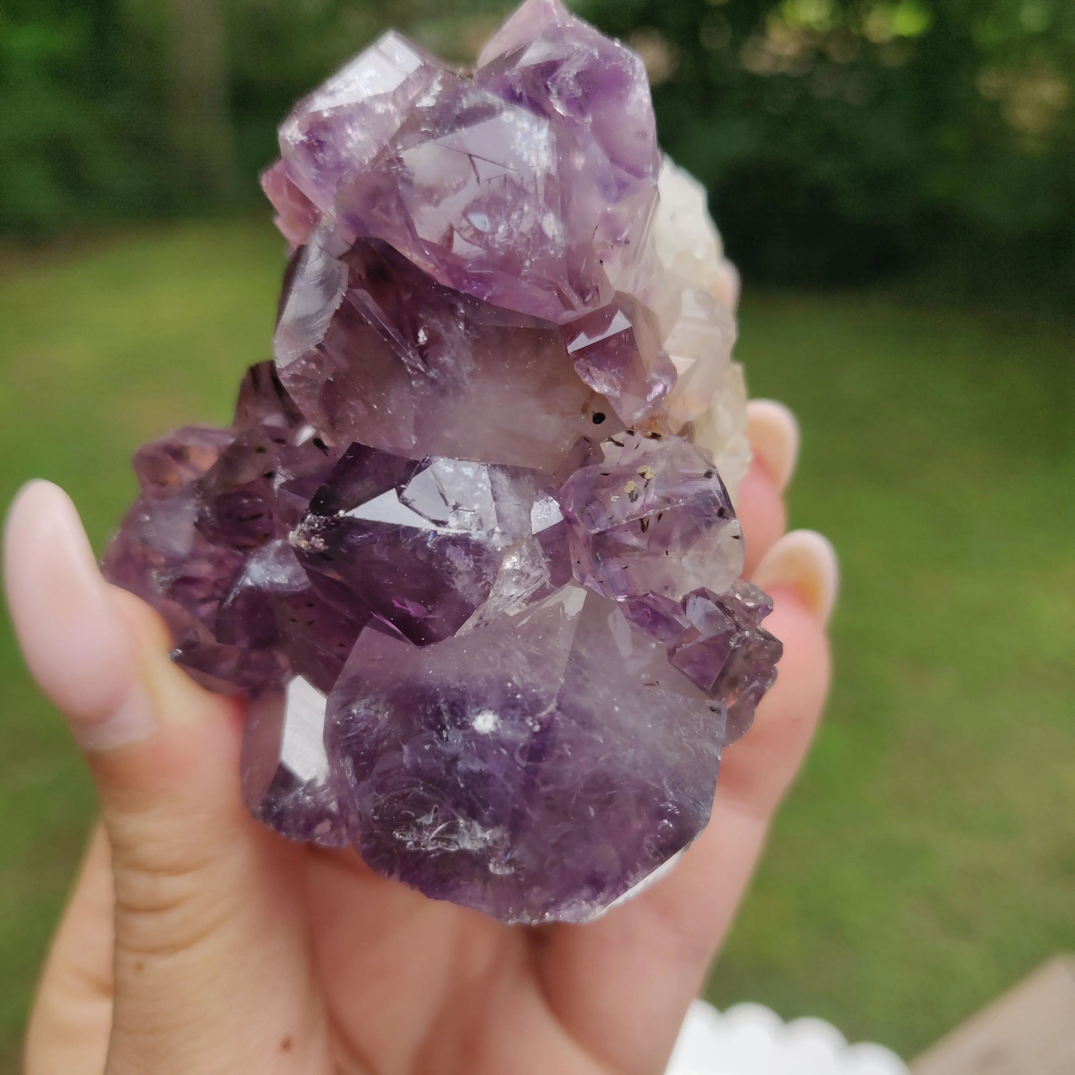 Amethyst Geode Free Form, Cut Base (#15)