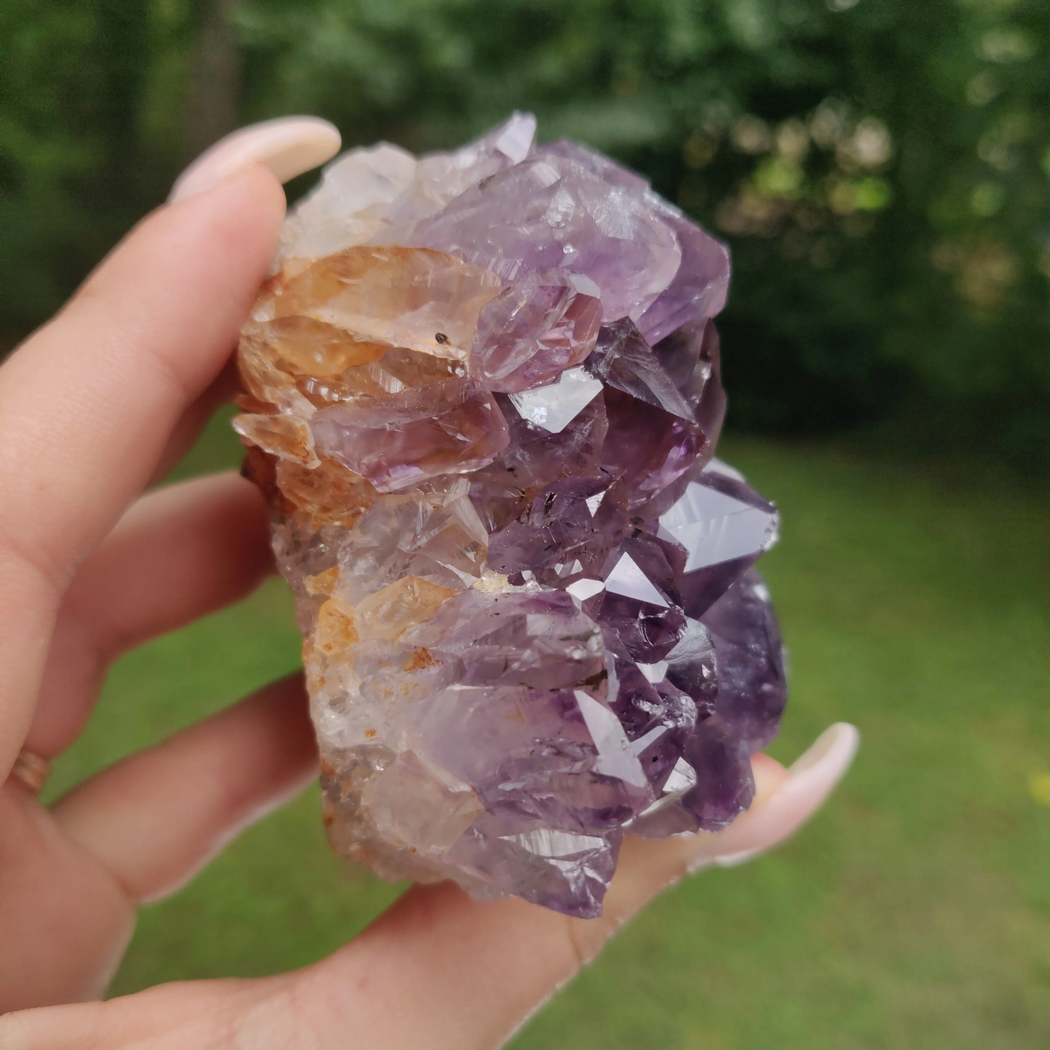 Amethyst Geode Free Form, Cut Base (#15)