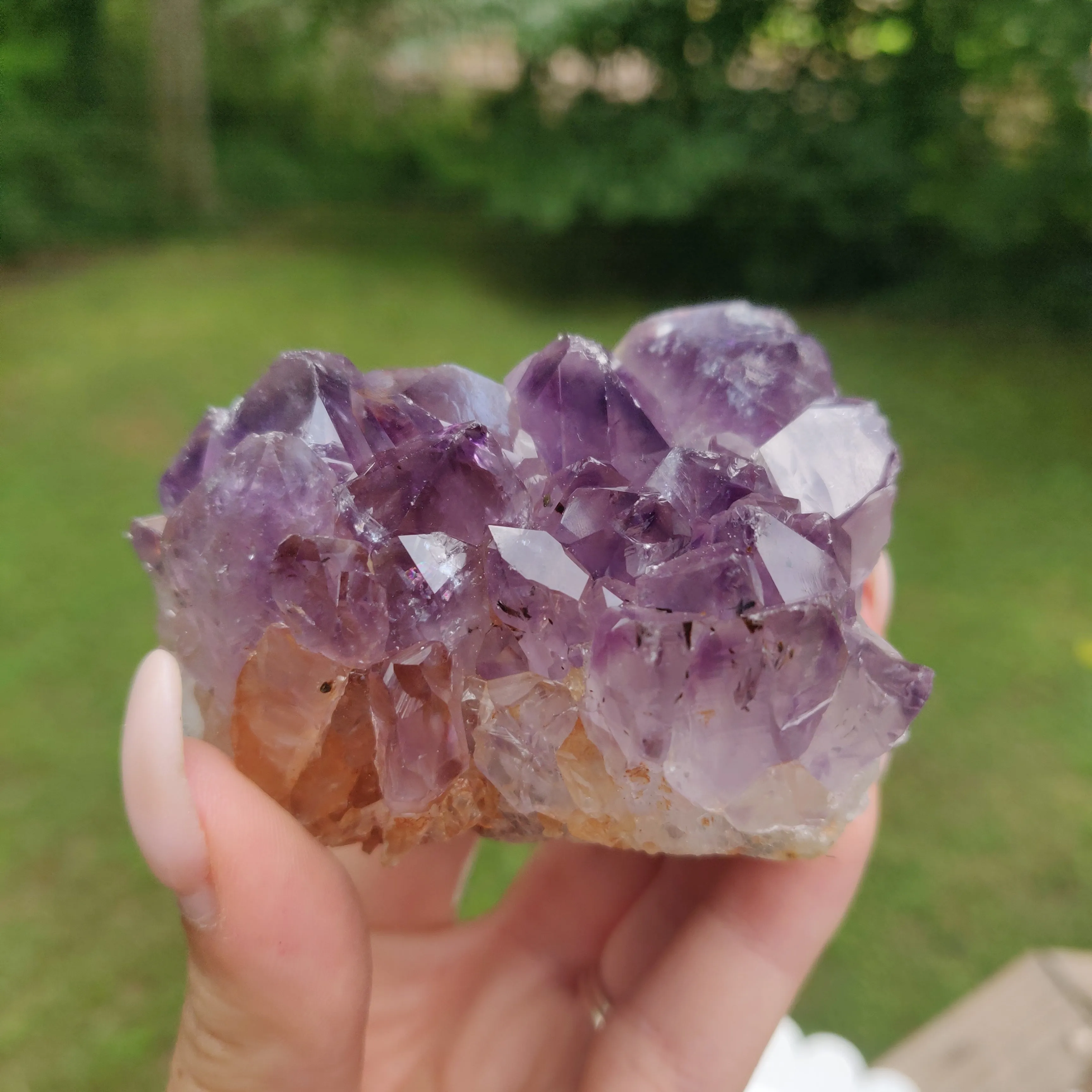 Amethyst Geode Free Form, Cut Base (#15)