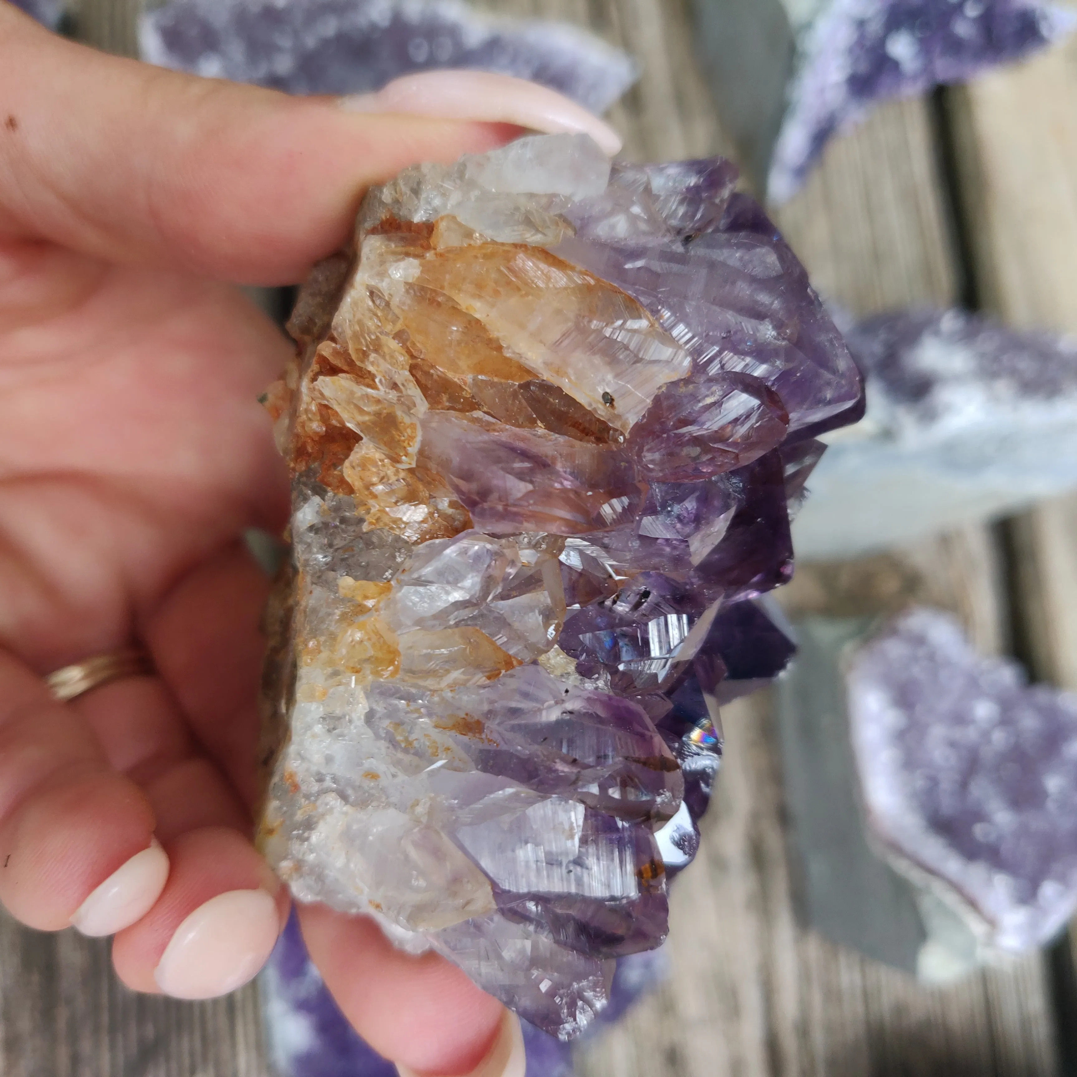 Amethyst Geode Free Form, Cut Base (#15)