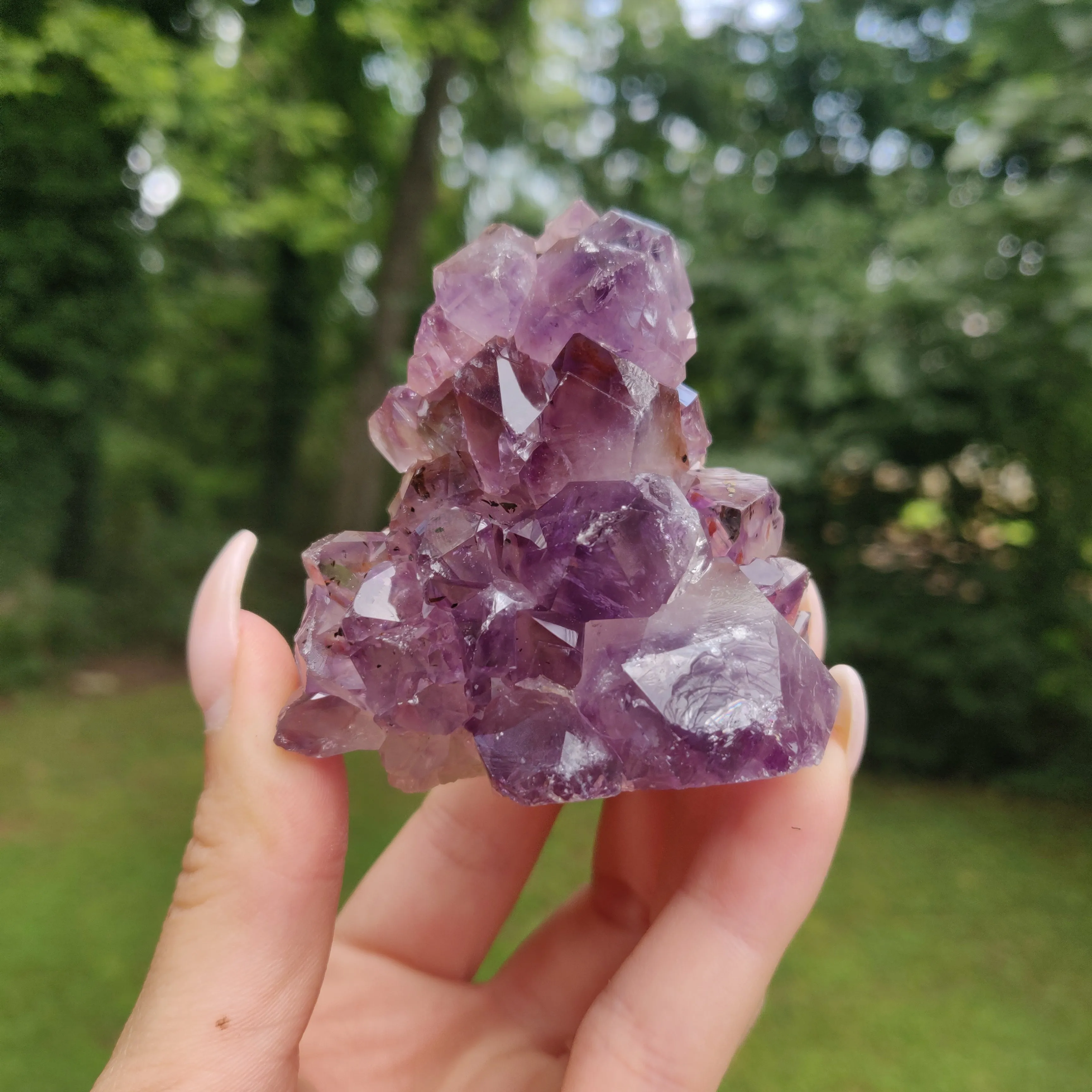 Amethyst Geode Free Form, Cut Base (#15)