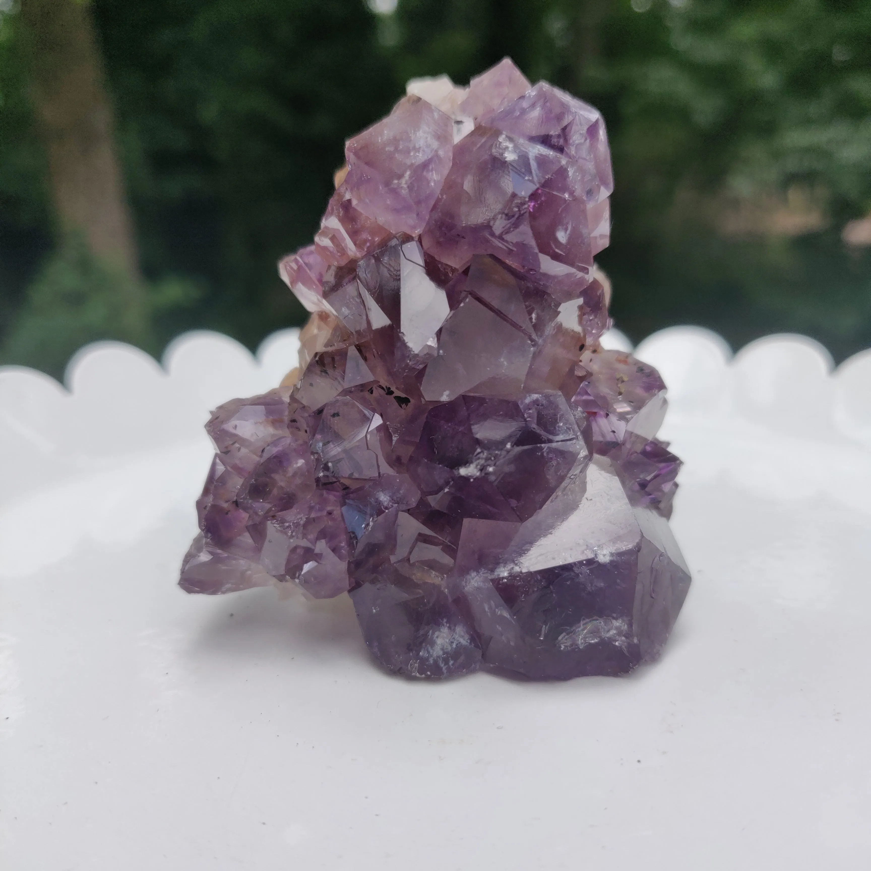 Amethyst Geode Free Form, Cut Base (#15)