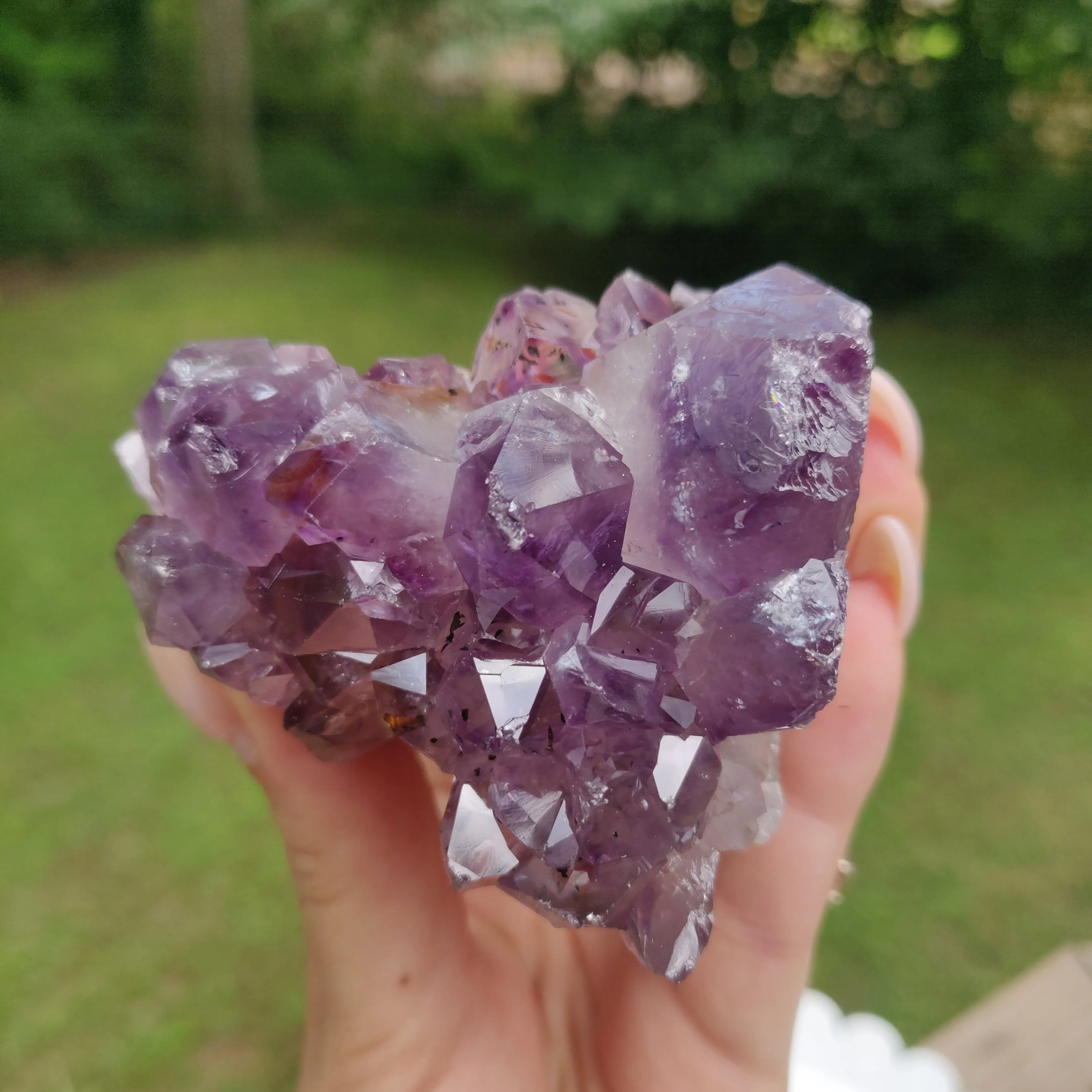 Amethyst Geode Free Form, Cut Base (#15)