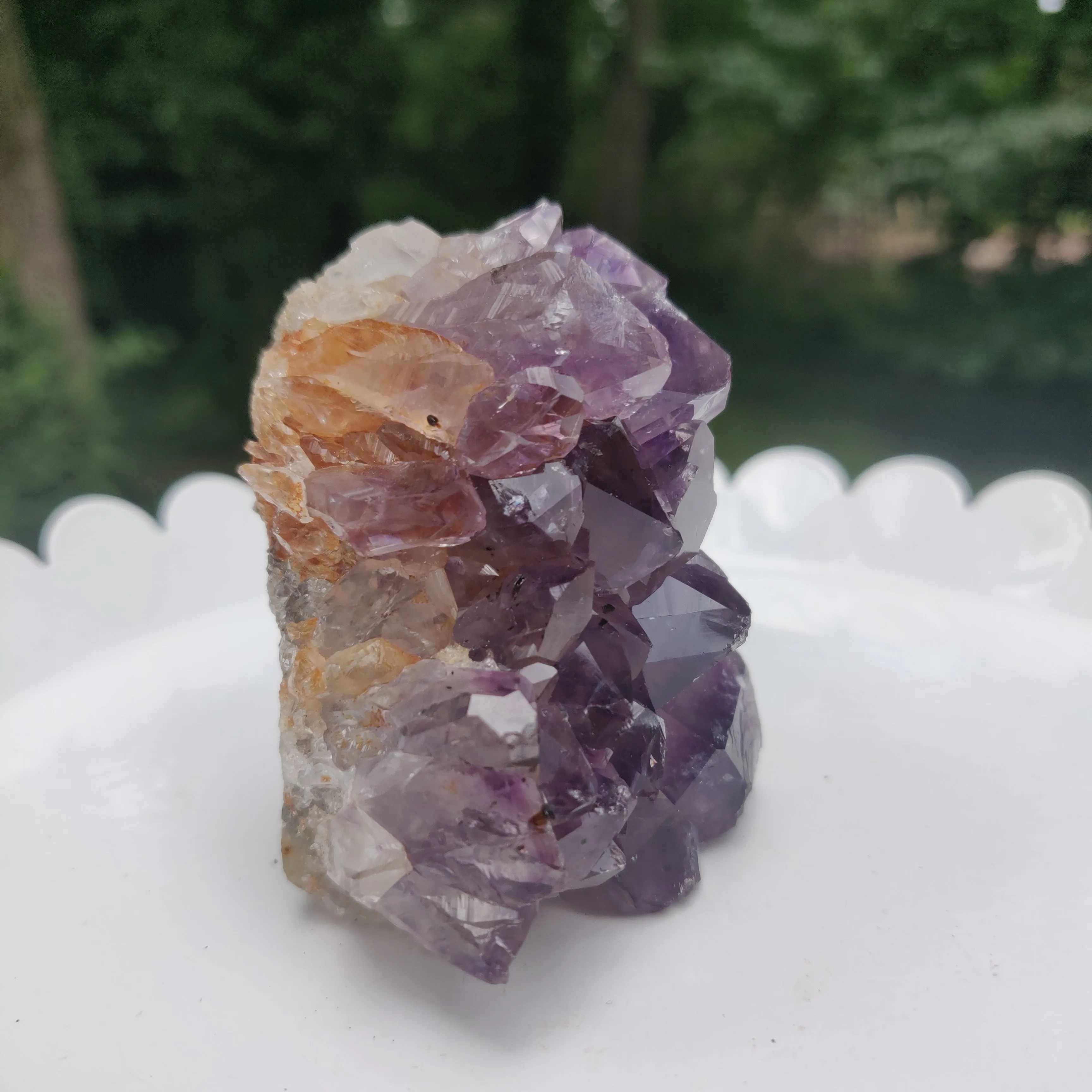 Amethyst Geode Free Form, Cut Base (#15)