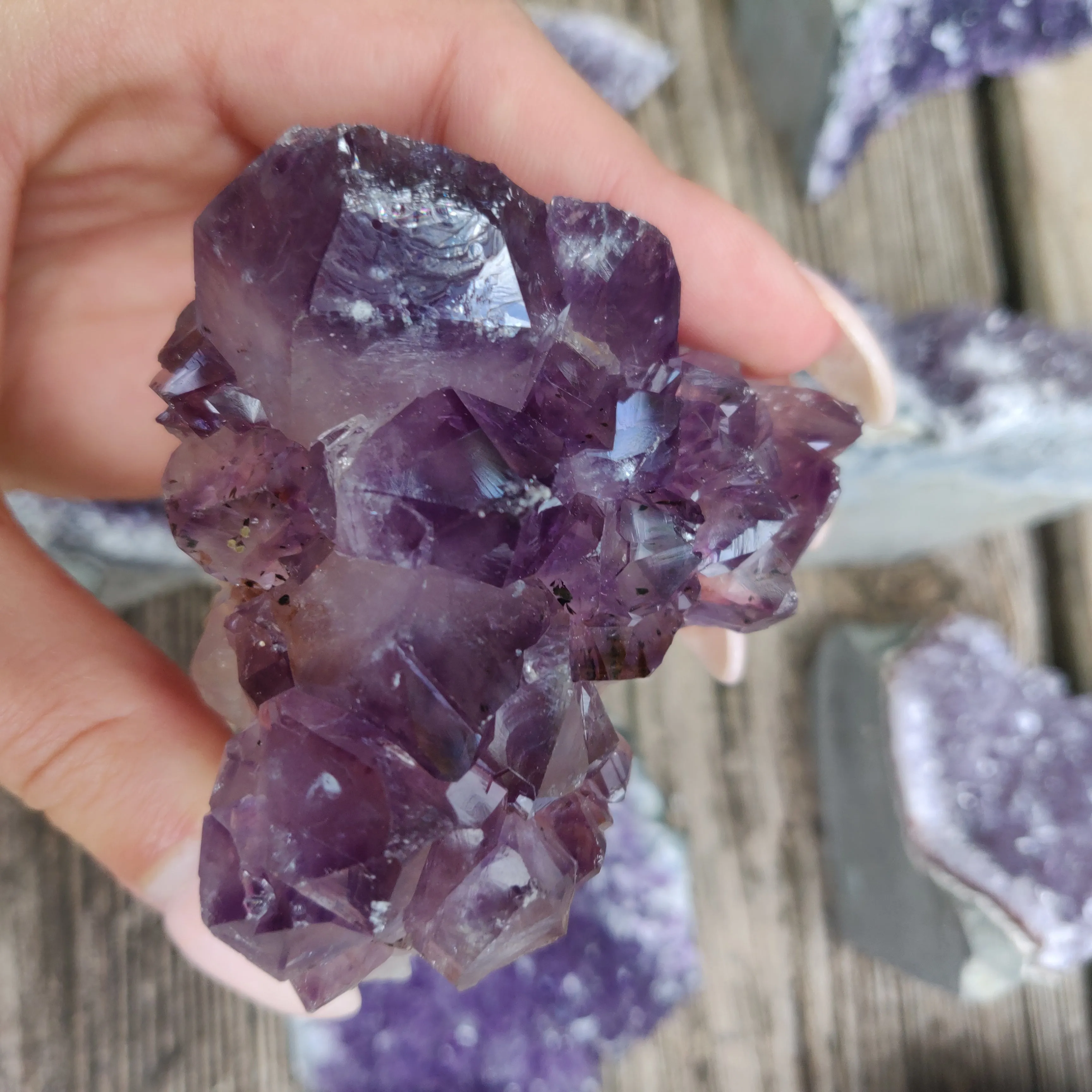 Amethyst Geode Free Form, Cut Base (#15)