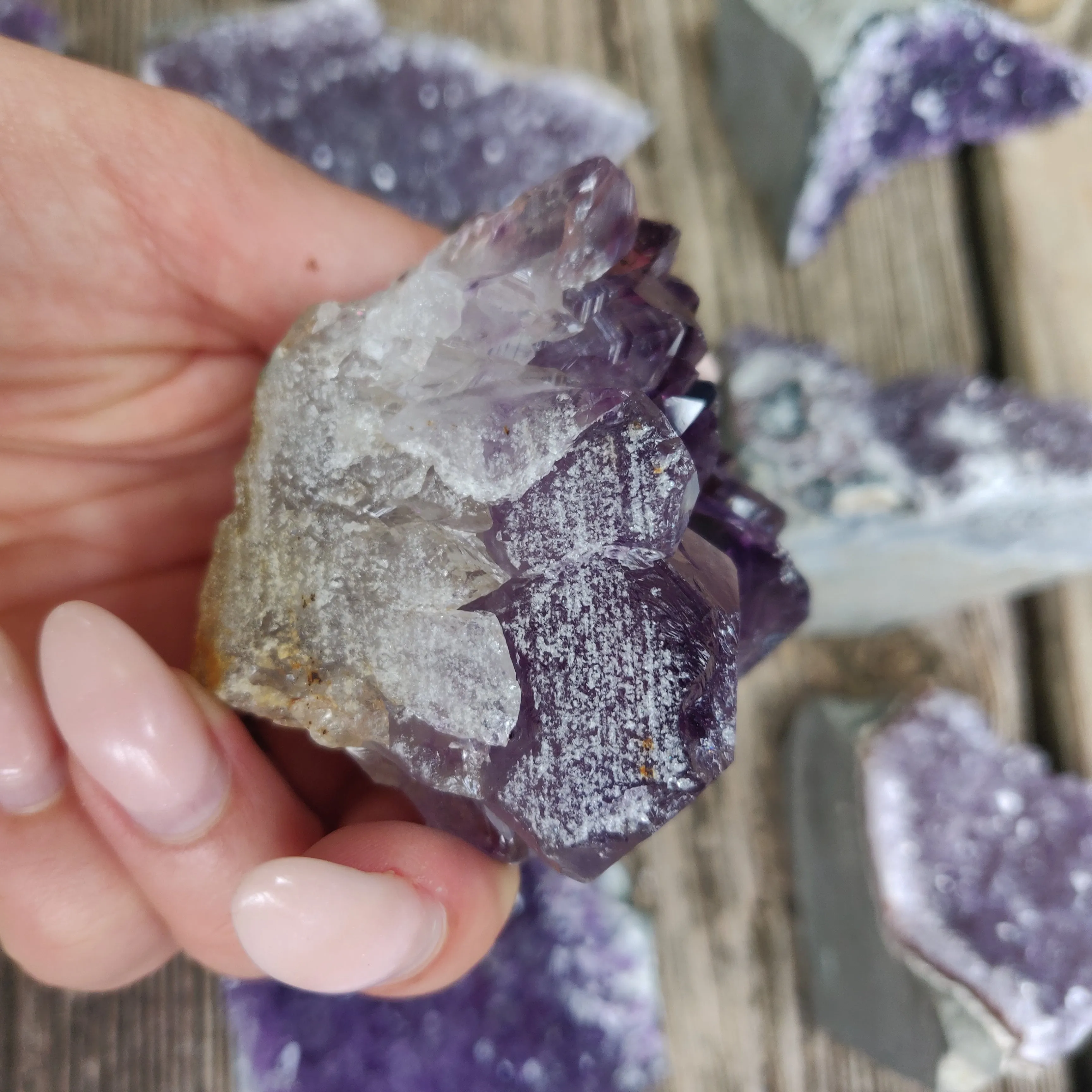 Amethyst Geode Free Form, Cut Base (#15)