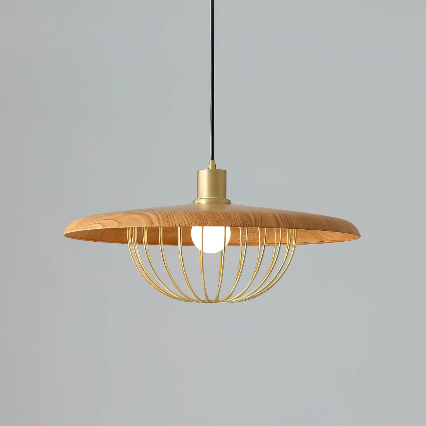 Kasa Pendant Lamp