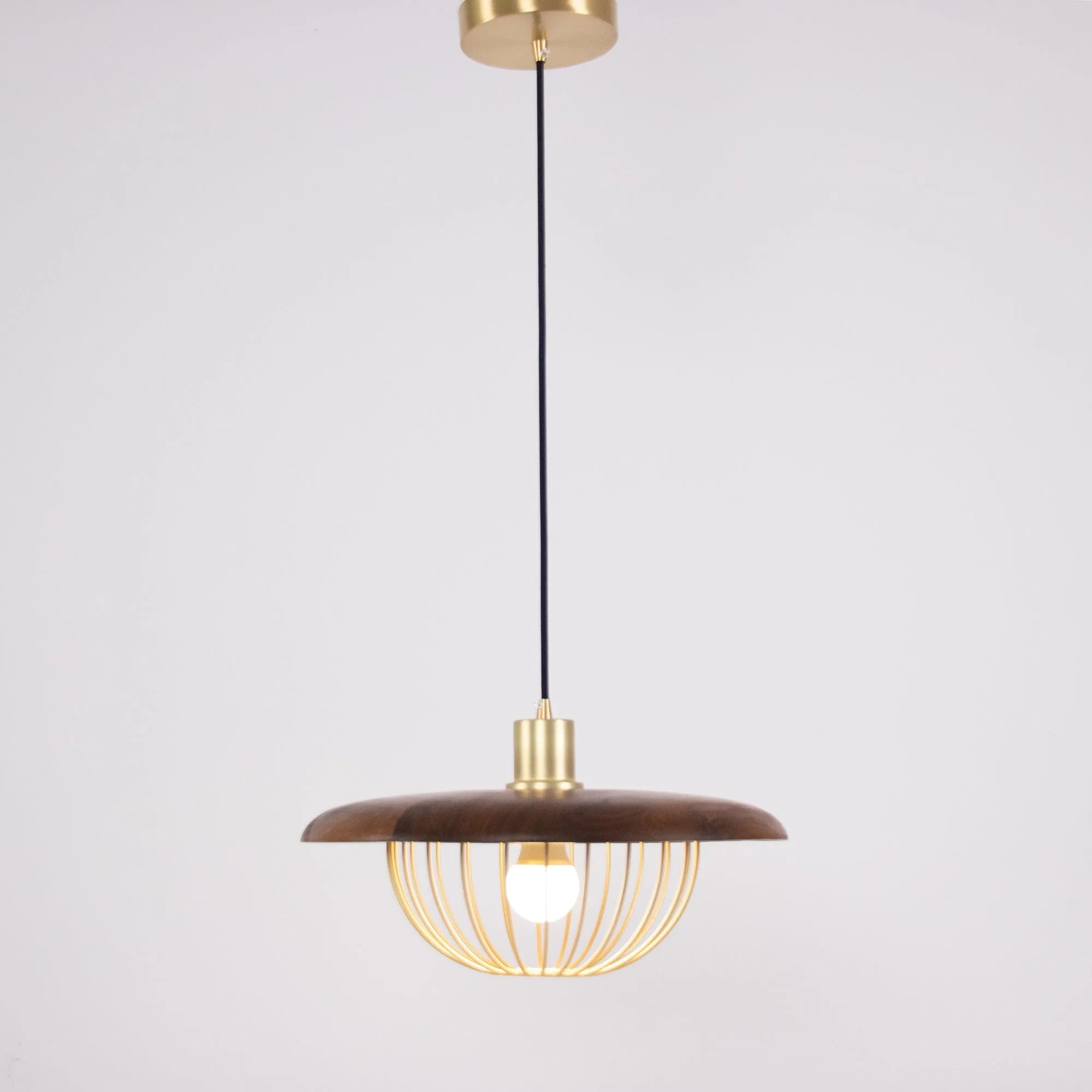 Kasa Pendant Lamp