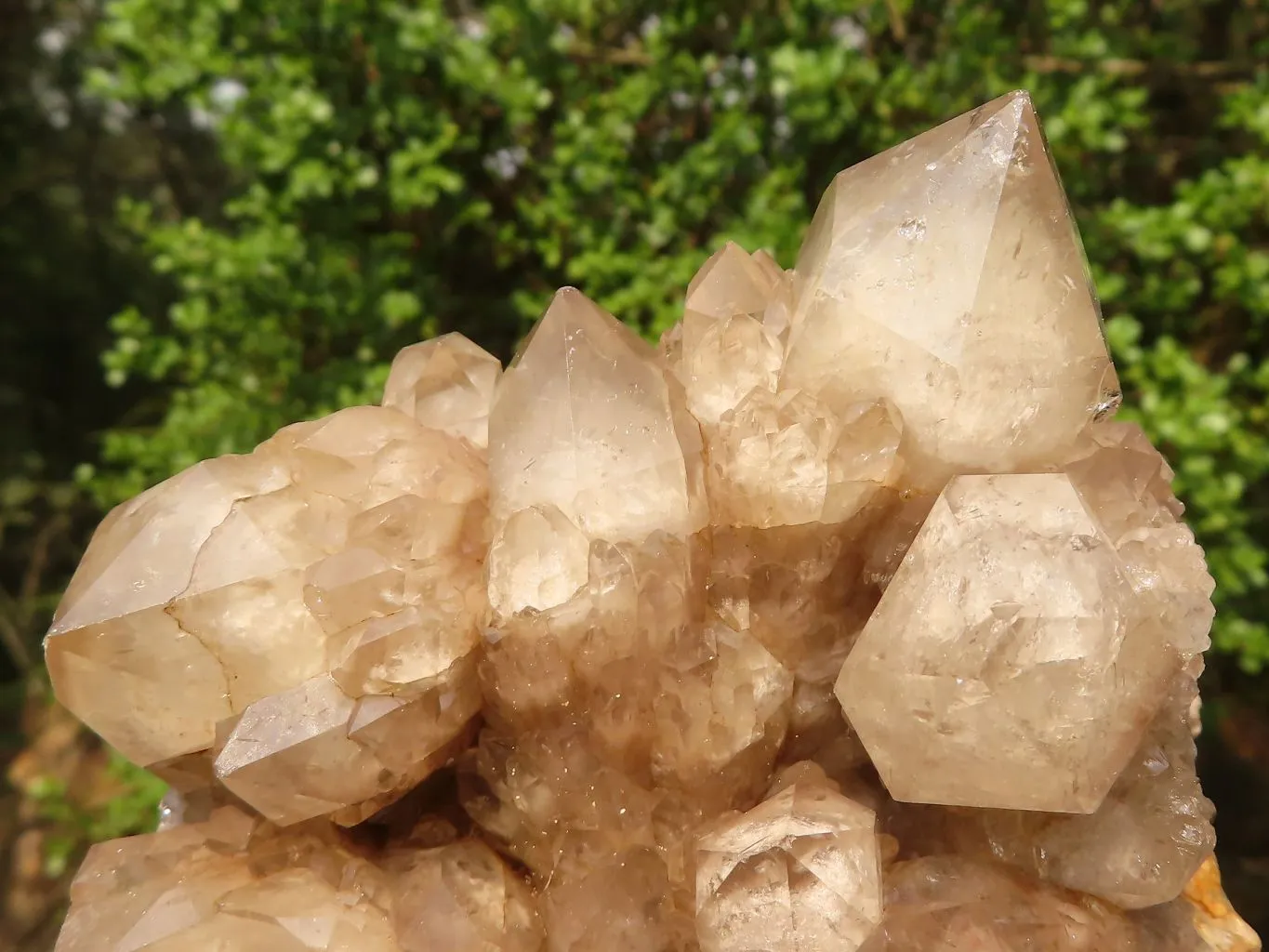 Natural Cascading Clear & White Phantom Smokey Quartz Specimens x 3 From Luena, Congo