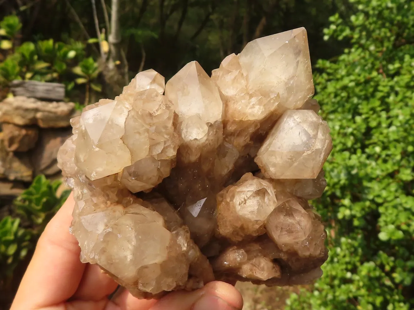 Natural Cascading Clear & White Phantom Smokey Quartz Specimens x 3 From Luena, Congo