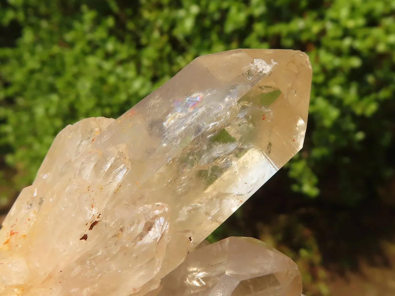 Natural Cascading Clear & White Phantom Smokey Quartz Specimens x 3 From Luena, Congo