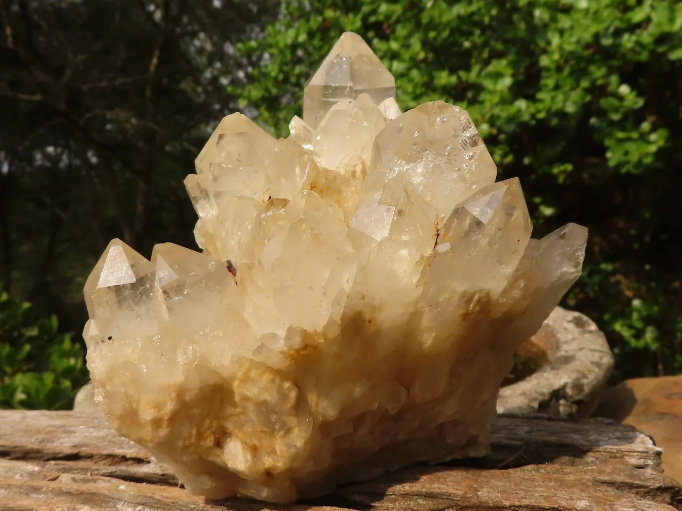 Natural Cascading Clear & White Phantom Smokey Quartz Specimens x 3 From Luena, Congo