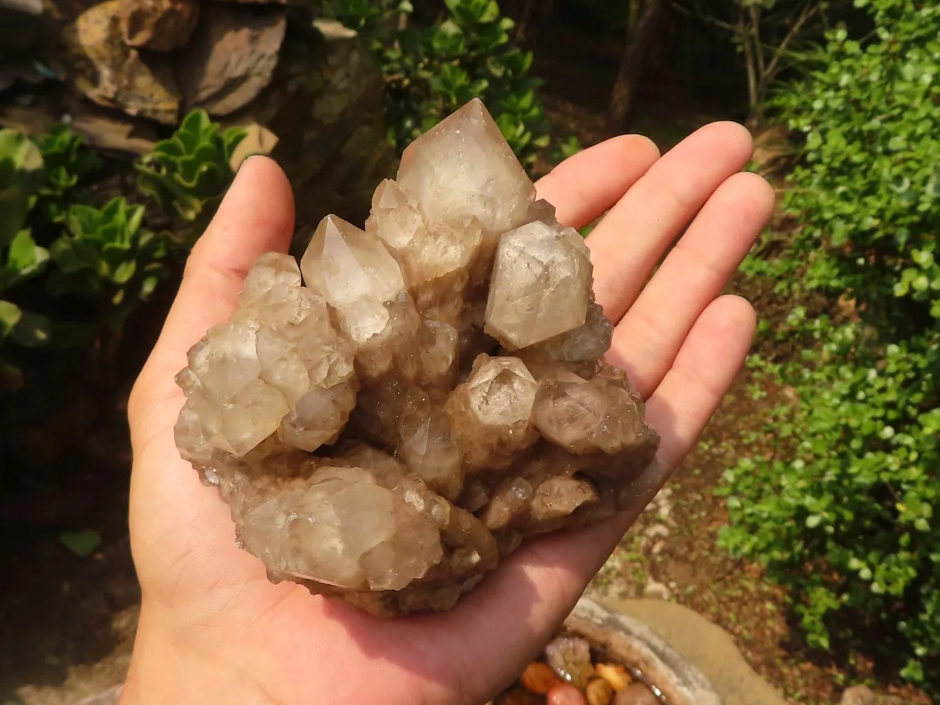 Natural Cascading Clear & White Phantom Smokey Quartz Specimens x 3 From Luena, Congo