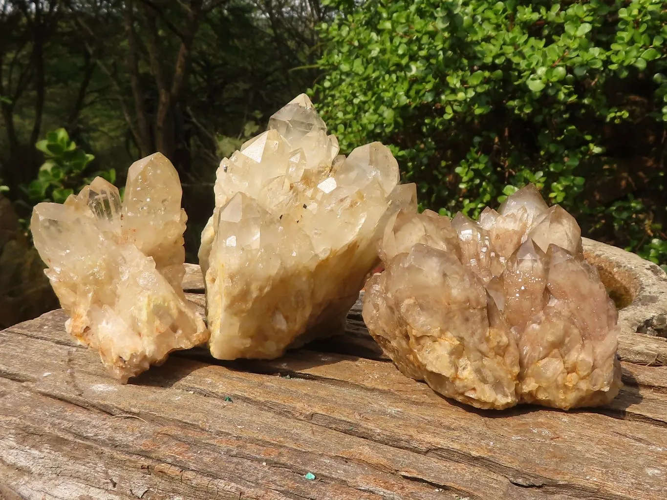 Natural Cascading Clear & White Phantom Smokey Quartz Specimens x 3 From Luena, Congo