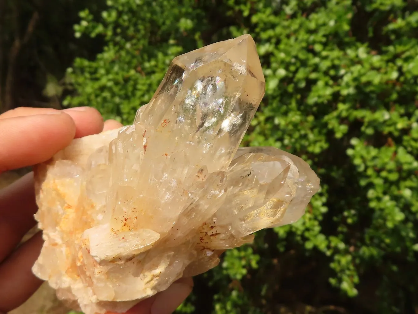 Natural Cascading Clear & White Phantom Smokey Quartz Specimens x 3 From Luena, Congo