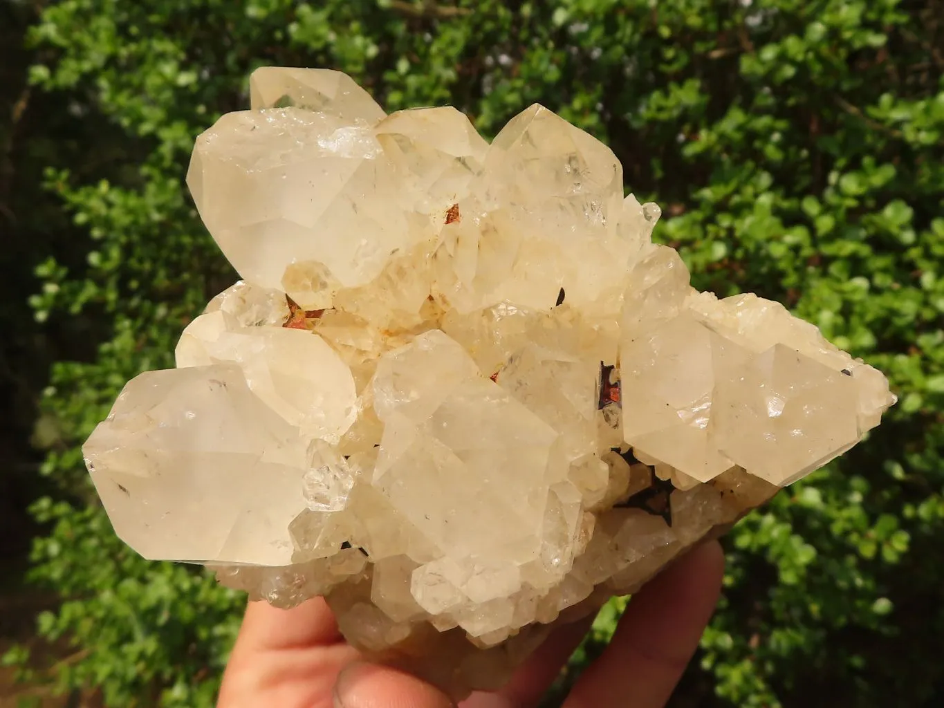 Natural Cascading Clear & White Phantom Smokey Quartz Specimens x 3 From Luena, Congo