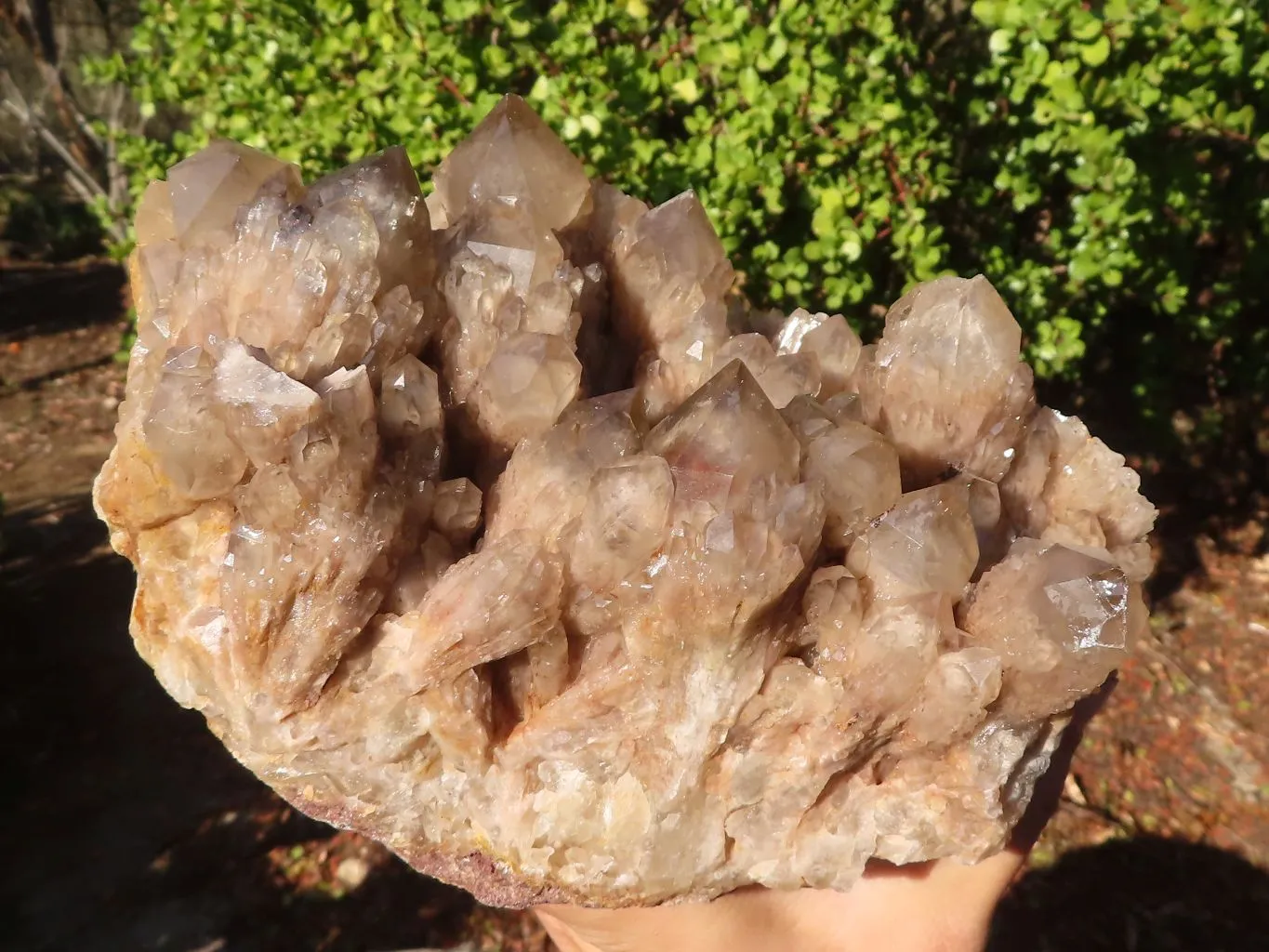 Natural Large Cascading Smokey Phantom Quartz Cluster x 1 From Luena, Congo