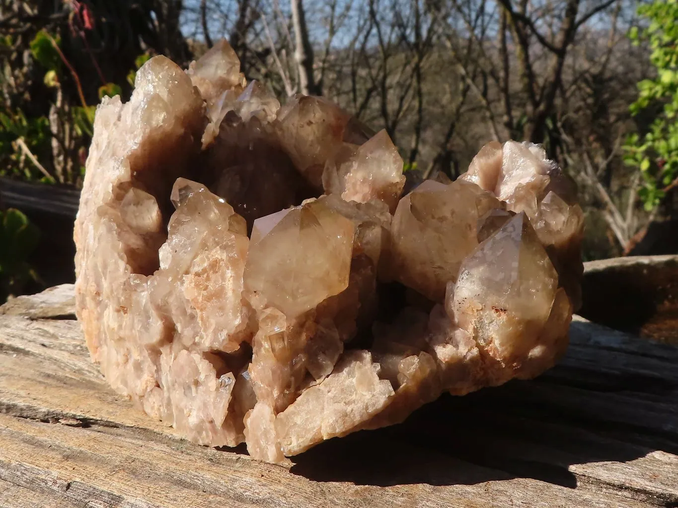 Natural Large Cascading Smokey Phantom Quartz Cluster x 1 From Luena, Congo