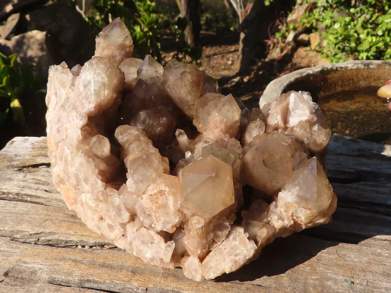 Natural Large Cascading Smokey Phantom Quartz Cluster x 1 From Luena, Congo