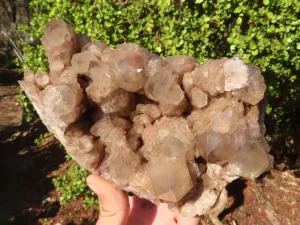 Natural Large Cascading Smokey Phantom Quartz Cluster x 1 From Luena, Congo