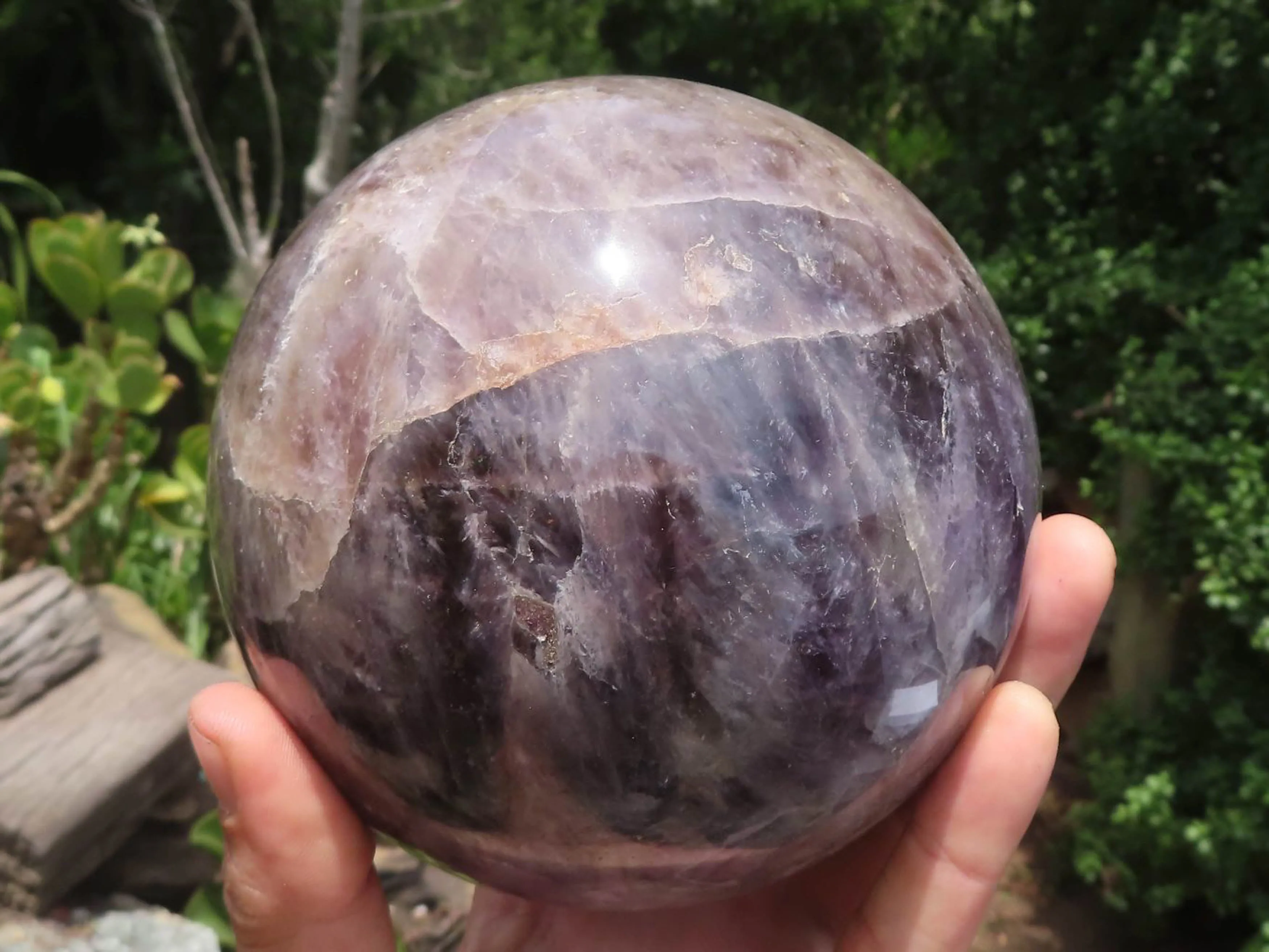 Polished Large Flower Amethyst Sphere x 1 From Madagascar