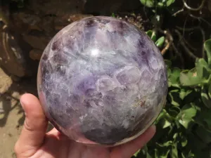 Polished Large Flower Amethyst Sphere x 1 From Madagascar