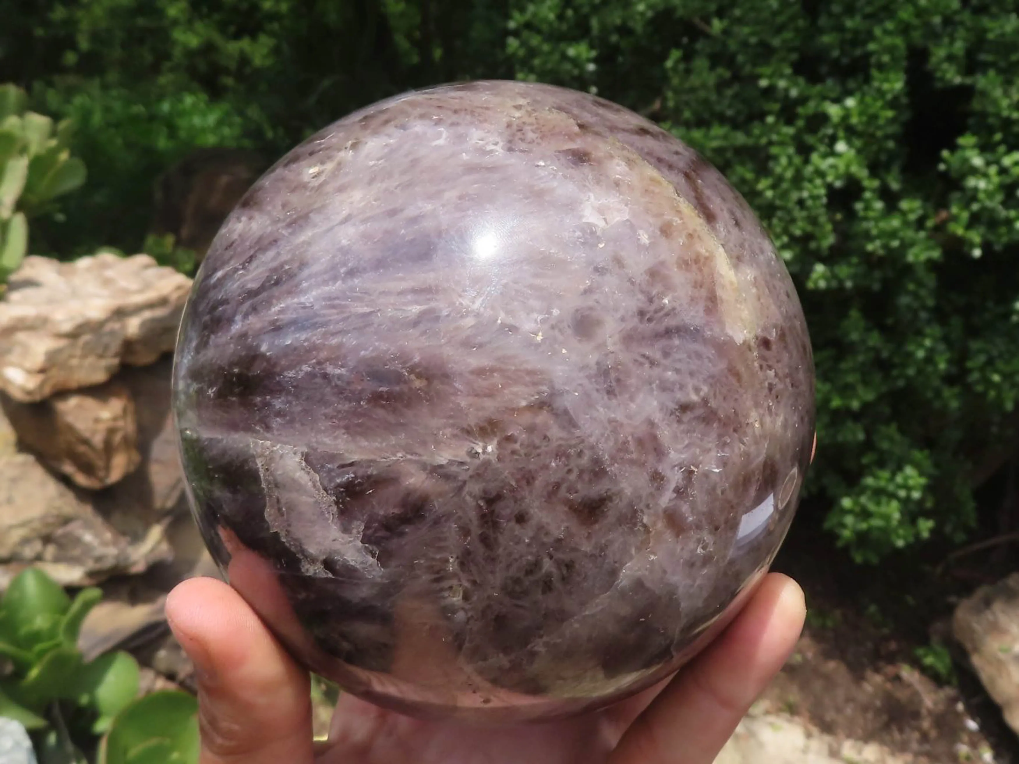 Polished Large Flower Amethyst Sphere x 1 From Madagascar